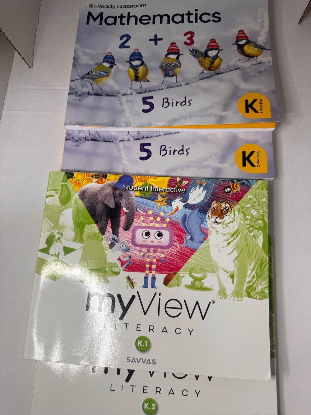 Kindergarten workbooks- 2 literary/ 2 math/ 1 reading/ homeschool/ supplements